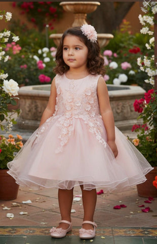 Floral Applique Tulle Baby Dress 9109