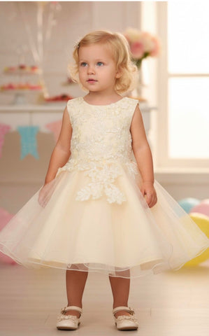 3D Floral Tulle Dress 9125