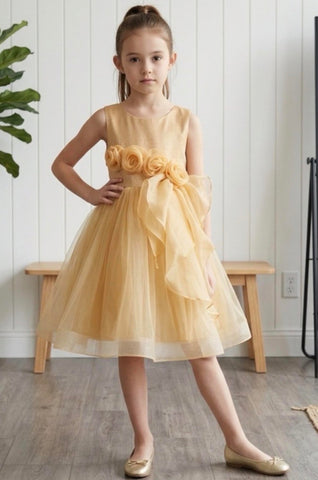 Rose Applique Kids Dress 9128